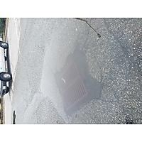 MTM king tide Oct27 image